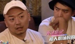 爆料娱乐圈王大锤视频,揭秘明星幕后真相